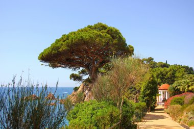 Park boyunca deniz cliff