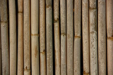 Bambu kaynaklanıyor üst üste