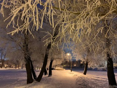 Kış masalı, karla kaplı ağaçlar, kar beyazı dallar, yerde çok kar, uzaktaki bir göletin üzerinde bir köprü, güzel bir kış çerçevesi.