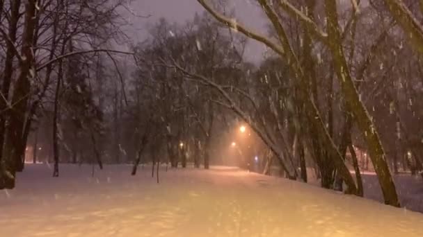 Zware Sneeuwval Het Stadspark Valt Onder Een Hoek Veel Bomen — Stockvideo