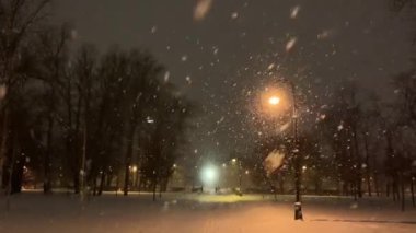 Şiddetli kar yağışı, gece vakti, sokak ışıkları, düşen kar, yavaş çekim etkisi, ağaçlarla park etme