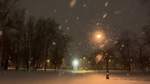Βαριά Χιονόπτωση Νύχτα Φώτα Δρόμου Πτώση Χιονιού Αργή Κίνηση Πάρκο — Αρχείο Βίντεο