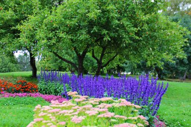 Yeşil yapraklı bir çimenlik, üzerinde çeşitli bitkiler olan bir çiçek bahçesi var, mavi, lavantaya benzer, mor, kahverengi, yarım daire.