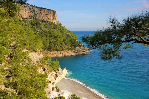 a wonderful corner of nature, mountains covered with green trees, pine trees, clear turquoise sea water, private beach, summer, vacation