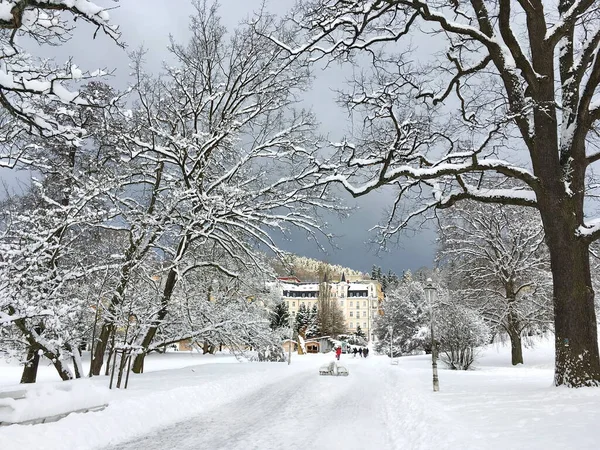 Ett Underbart Vinterfoto Snötäckt Väg Träd Byggnad Fjärran Och Ett — Stockfoto