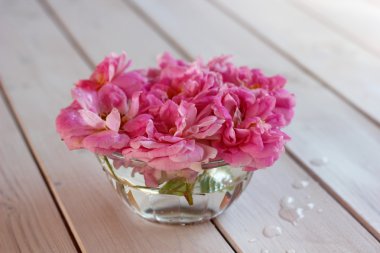 Masanın üzerinde bir cam kabın içinde gül