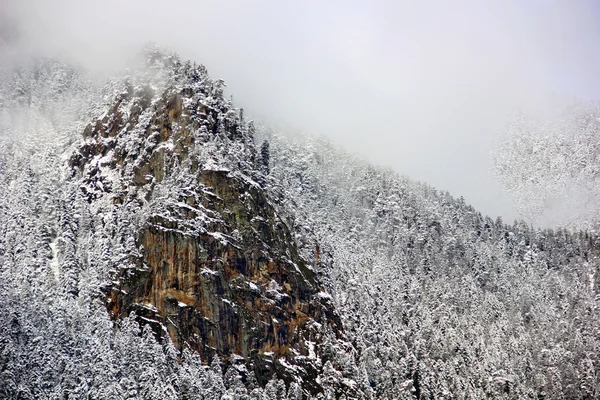 Blick auf schneebedeckte Berge — Stockfoto