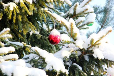 ağaç, kar, Noel oyuncaklar