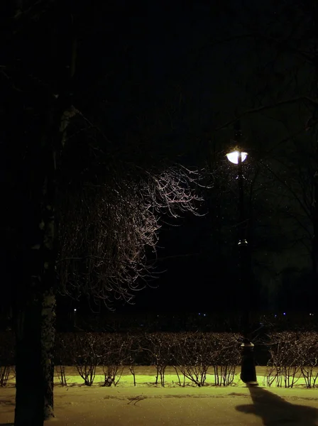 Горящий фонарь ночью в парке — стоковое фото