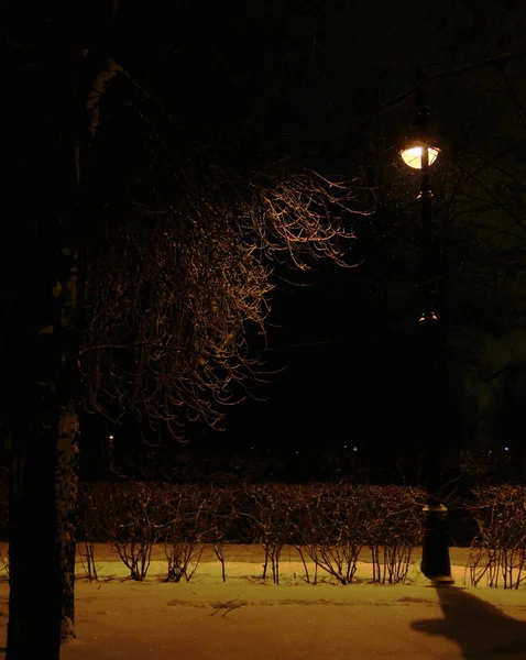 Горящий фонарь ночью в парке — стоковое фото