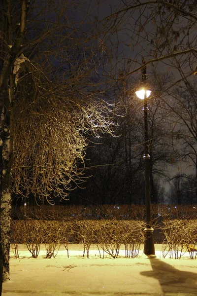 Égő lámpást éjjel a parkban — Stock Fotó