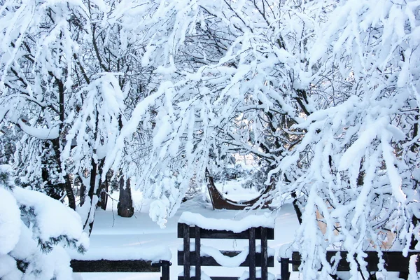 Fabulosa cena de inverno — Fotografia de Stock