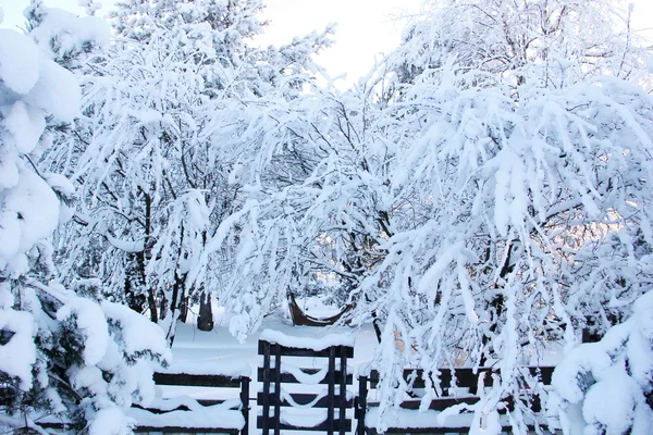 Fantastiska vinter scen — Stockfoto