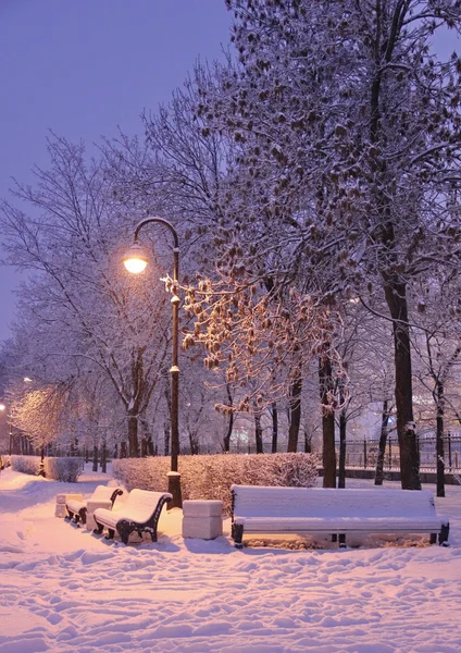 Parque de la ciudad en invierno — Foto de Stock
