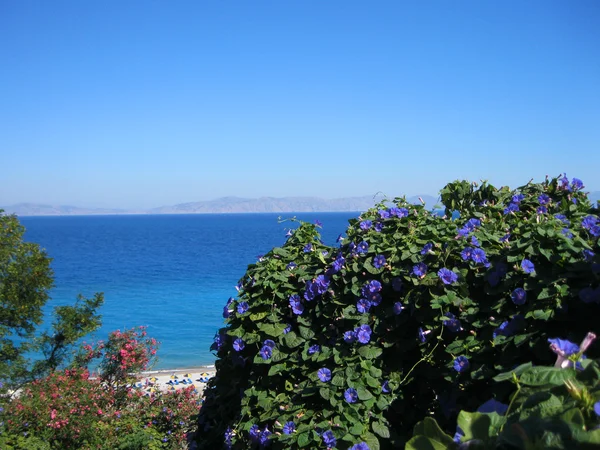 Sommar Egeiska kusten havsutsikt med blommor. Rhodos. Grekland. — Stockfoto