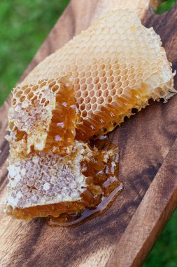 Bal ve bal petekleri. Sadece arı kovanından. yakın çekim fotoğrafçılık.