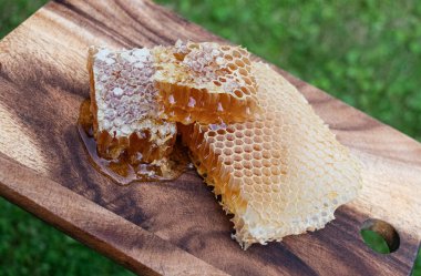 Bal ve bal petekleri. Sadece arı kovanından. yakın çekim fotoğrafçılık.