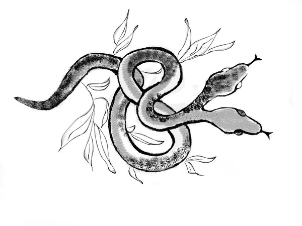 Illustration Snake Hand Drawn Tattoo Two Headed Snake Bushes — Stock Photo, Image