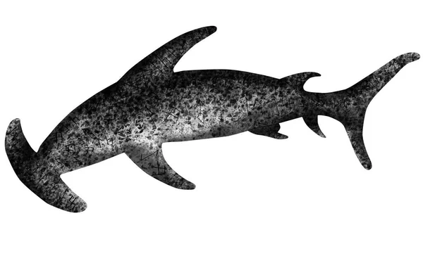 Иллюстрация Акулы Молота Татуировка Акулы Молота Нарисованная Вручную — стоковое фото