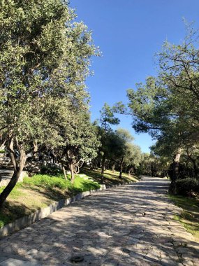 Atina, Yunanistan - 1 Aralık 2019: Atina Akropolünde Tepeler