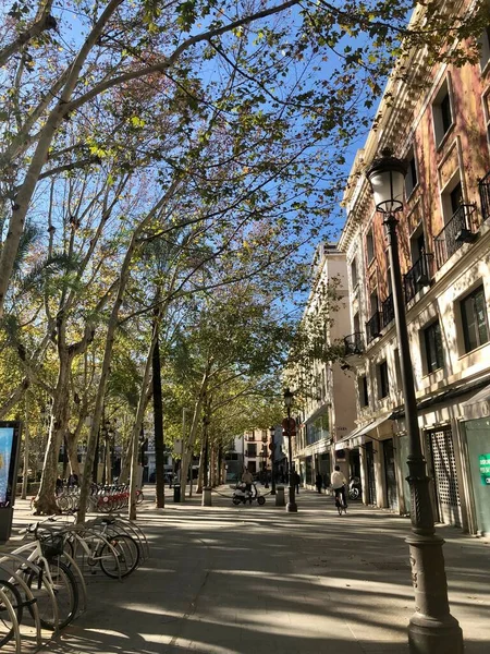 Sevilla, Spanien - 24. Dezember 2019: Der neue Platz, Plaza Nueva, in Sevilla — Stockfoto