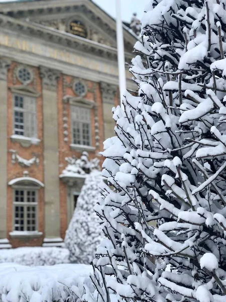 Sztokholm, Szwecja - 3 lutego 2019: Drzewo pokryte śniegiem w Domu Szlachty zimą w Sztokholmie — Zdjęcie stockowe