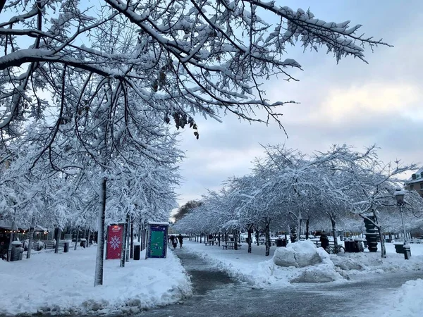 Sztokholm, Szwecja - 3 lutego 2019: Ogrody w Kungstradgarden pokryte śniegiem podczas szwedzkiej zimy — Zdjęcie stockowe