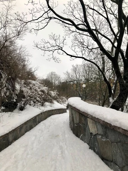 Sztokholm, Szwecja - 2 lutego 2019: Szlak w parku pokrytym śniegiem zimą w Sztokholmie — Zdjęcie stockowe