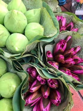 Satılık nilüfer çiçekleri, Tayland 'ın geleneksel çiçekleri.