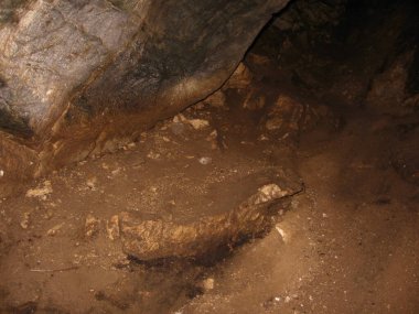 Kaya taşını mağaraya