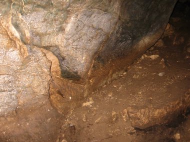 Kayaların izini takip edin.