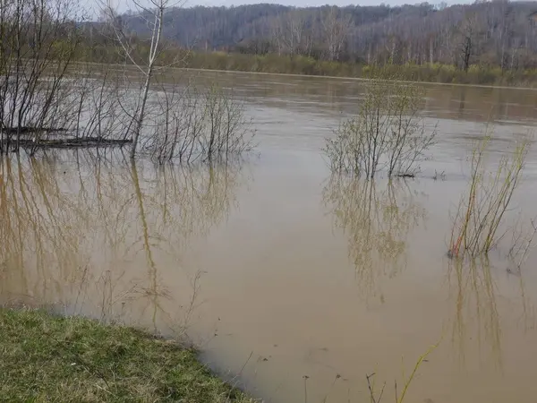 Весеннее Наводнение Горной Реке — стоковое фото