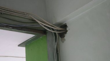 Duvardaki IMG _ 0023.JPG kablosu 