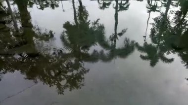 Su akan nehri videoya al