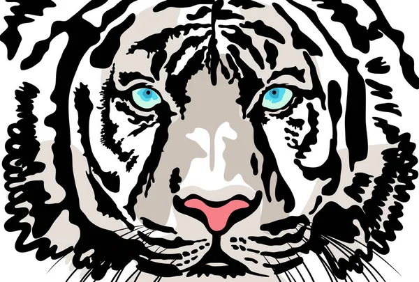 Ilustración Cara Tigre Blanco Mirando Hacia Frente —  Fotos de Stock