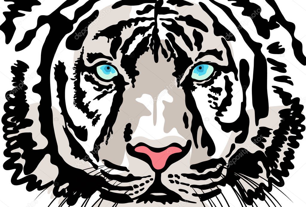 Illustration of the face of a white tiger facing the front