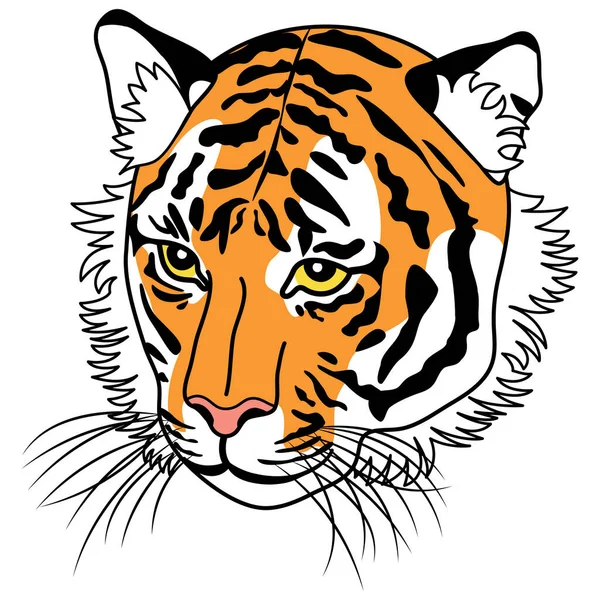 Color Illustration Tiger Face Facing Diagonally — Stock Photo, Image