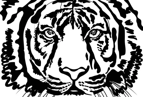 Black White Illustration Tiger Face Facing Front — Stock Photo, Image