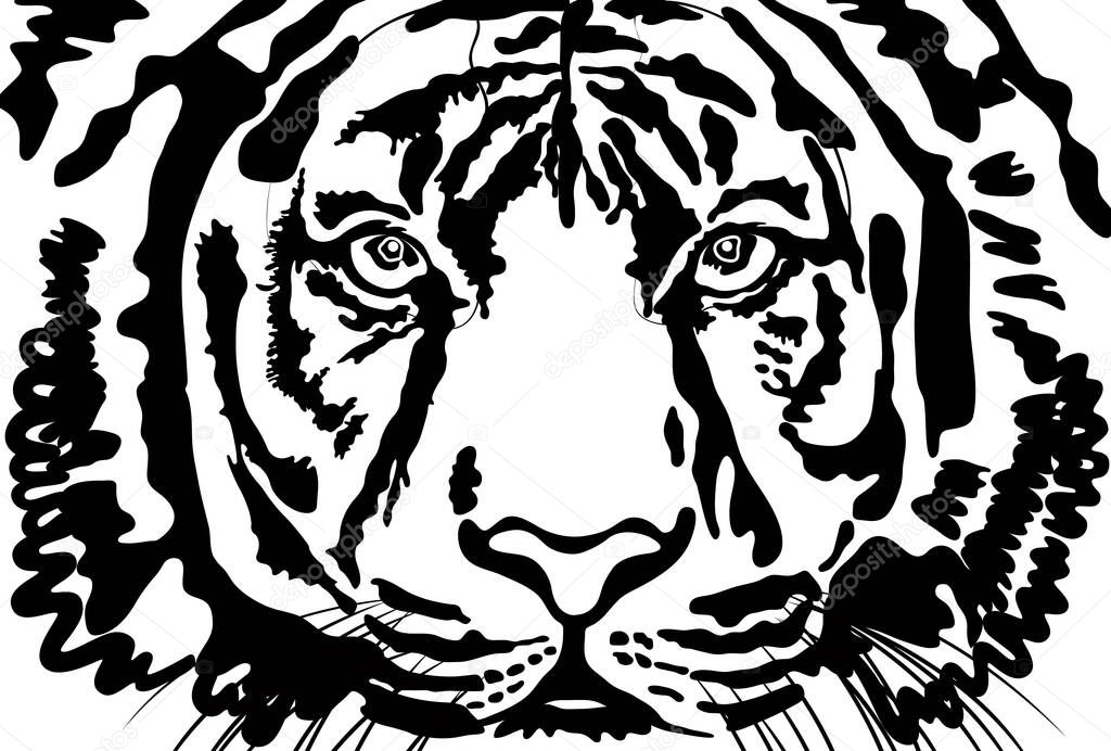  Black-and-white illustration of a tiger's face facing the front