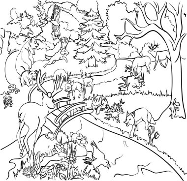 Çocuk için Renklendirme Kitabı - Hayvan Serisi