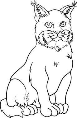 Çocuk için Boyama Kitabı - Hayvan Serisi Vaşak Kedisi