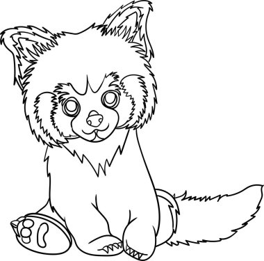 Çocuk için Boyama Kitabı - Hayvan Serisi Rakunu