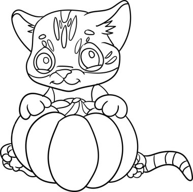 Çocuk için Boyama Kitabı - Hayvan Serisi Cadılar Bayramı için Balkabağı Taşıyan Kedi