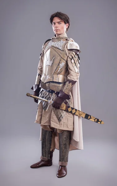 Cavaler medieval — Fotografie, imagine de stoc
