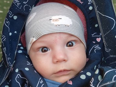 Bebek arabasında oturan bir bebek, koyun tasarımı bir şapka takıyor. Bebek doğrudan kameraya geniş gözlerle bakıyor. Gündüz oldu ve bebek dışarıda..