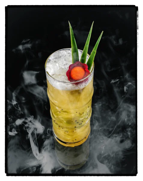 Verse kiwi cocktail — Stockfoto