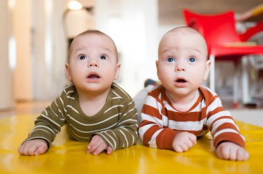 İki bebek sarı bir zeminde karınlarının üstünde yatıyor. Şaşırmış yüzlerle başlarını kaldırıp, meraklarını ve heyecanlarını bir yuva ortamında gösteriyorlar..