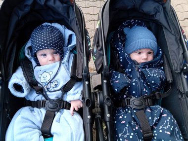 İki bebek bebek bebek arabalarında yan yana oturur, serin hava için sıcak giyinirler. Asfalt yollarla çevrili halka açık bir alanda yürüyüş yaparken meraklı görünüyorlar..