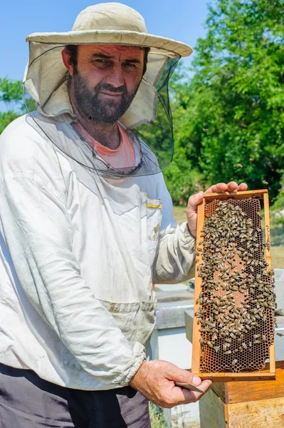 Apicultor en colmenar — Foto de Stock