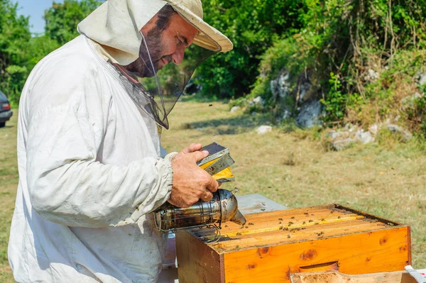 Μελισσοκόμος στην Μελισσοκομικά — Φωτογραφία Αρχείου